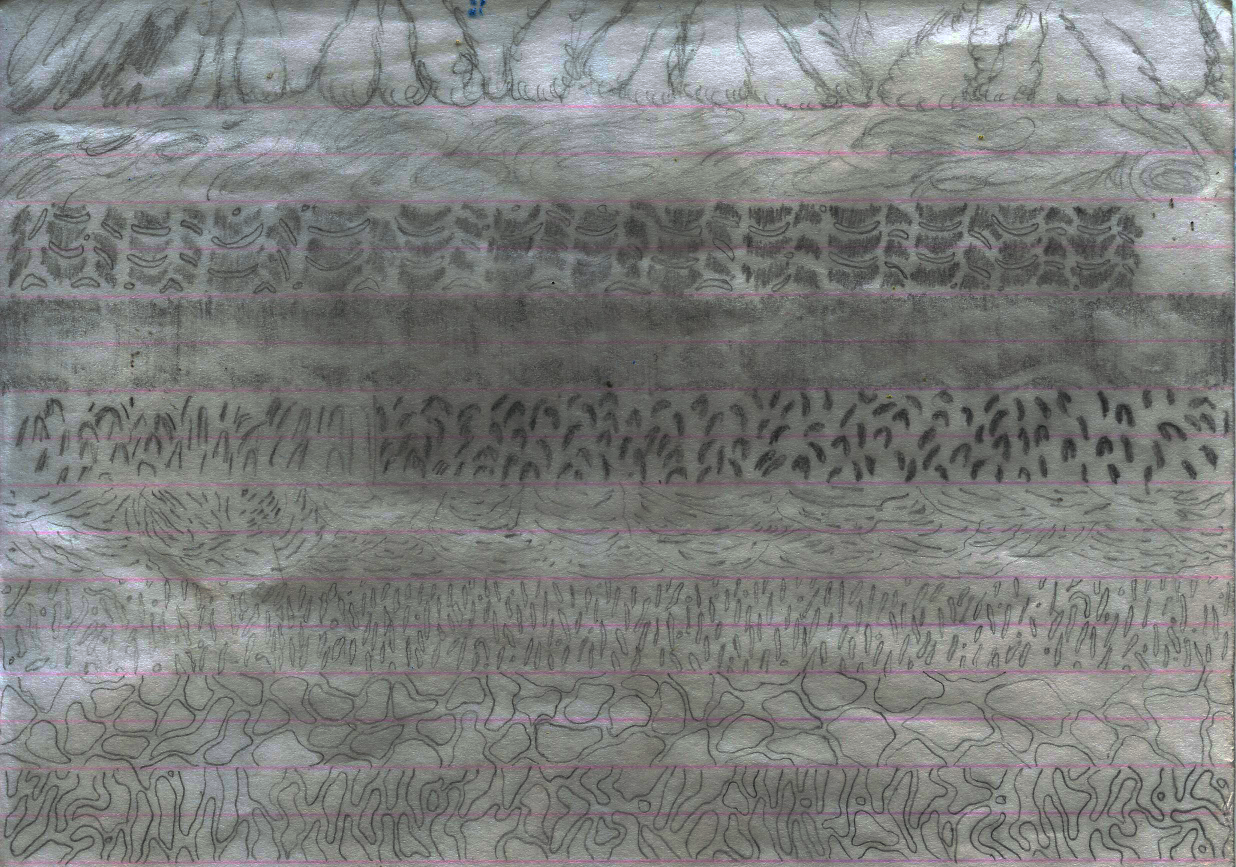 les différents états